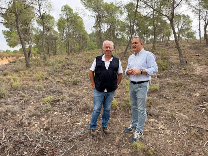 El Gobierno regional impulsa un proyecto de biomasa en Bullas y Cehegín para crear empleo y combatir la despoblación
